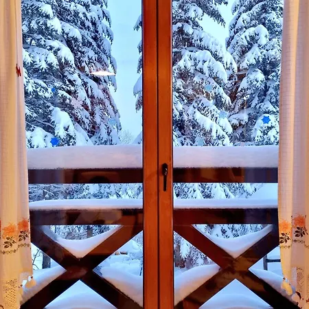 Pogled *